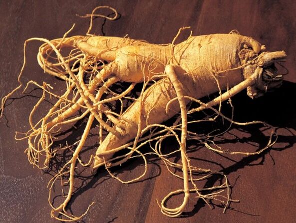Ginseng korijen