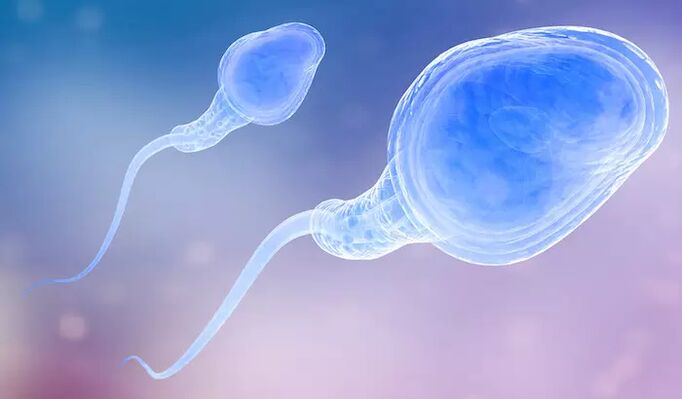 Spermatozoidi mogu biti prisutni u preejakulatu muškarca