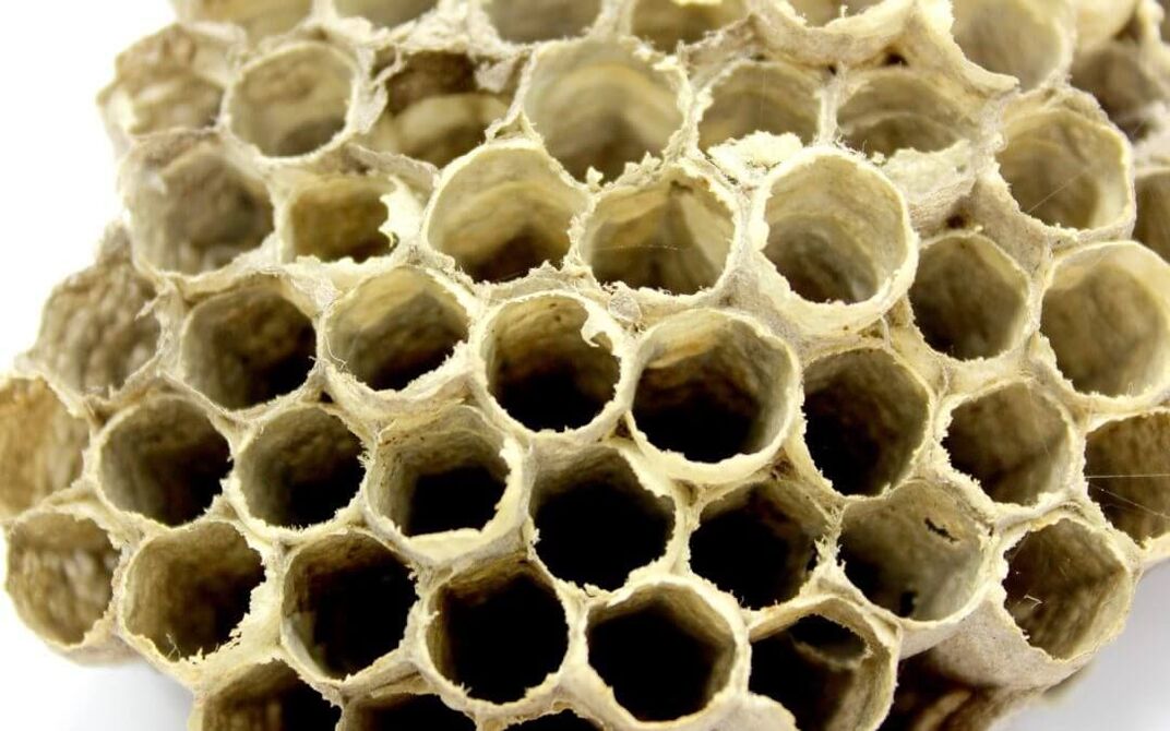 pčelinji ljepilo za povećanje potencije
